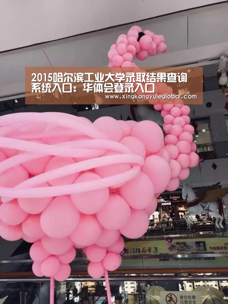2015哈尔滨工业大学录取结果查询系统入口：华体会登录入口